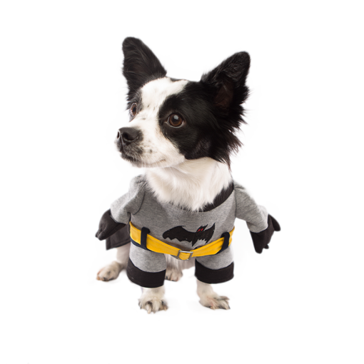 Kostyme til hund Batman hundekostyme I LOVE DOGS