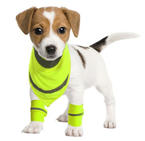Refleks bandana til hund refleksbandana for hunder I LOVE DOGS