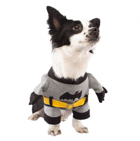 Kostyme til hund Batman hundekostyme I LOVE DOGS